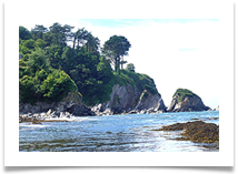 Coastal Garden - Russ Lambert